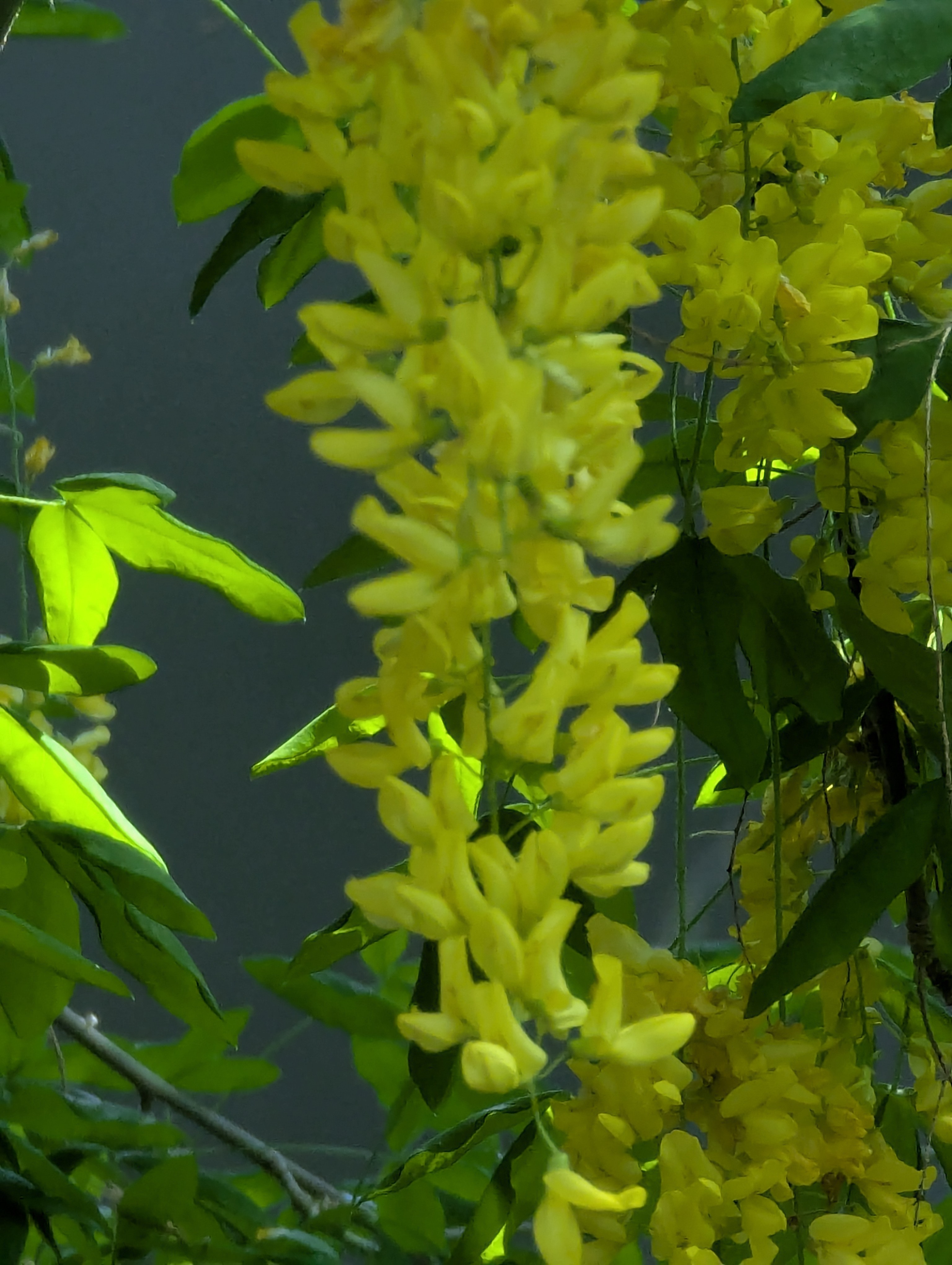 Birthday Trip to Canada, Edmonton, Pyramids, Muttart Observatory